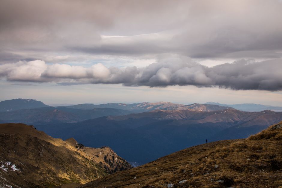网站权重提升方法大全